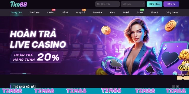 Thông tin về giấy phép hoạt động của TIM88