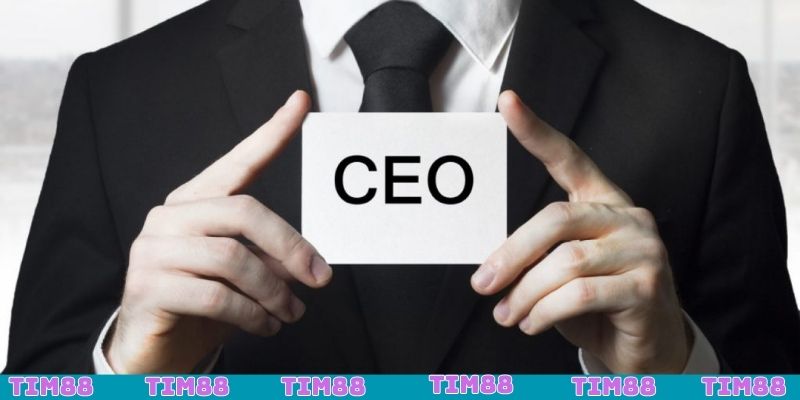 Tác giả TIM88 tạo nên nhà cái uy tín đẳng cấp